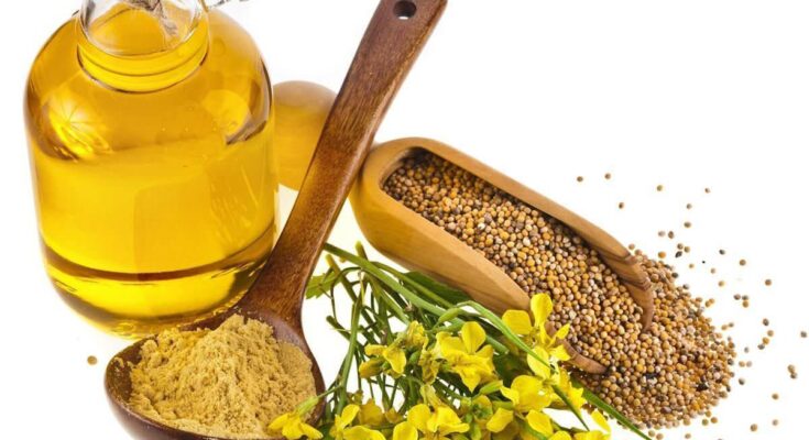 Kenaf Seed Oil Market