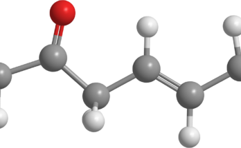 Global Ketones Market