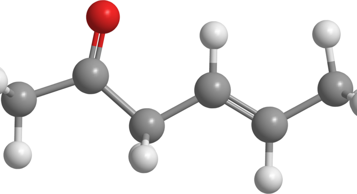 Global Ketones Market