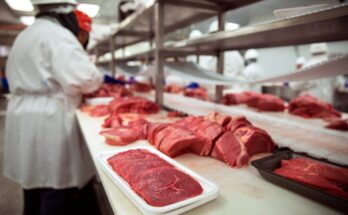 Global Meat Processing Market