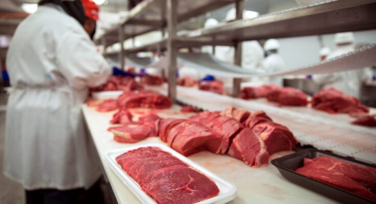 Global Meat Processing Market