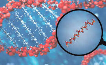 MicroRNA