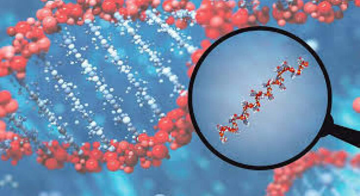 MicroRNA