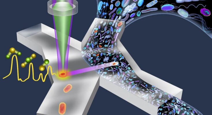 Microfluidic Cell Sorting Market