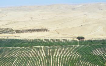 Middle East & Africa Desert Farming Market 2018-2028: Emerging Opportunities | TechSci Research