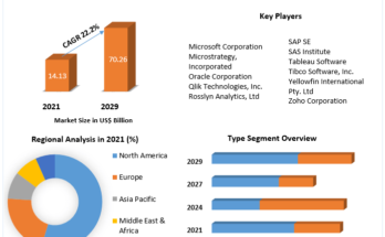 Mobile BI Market