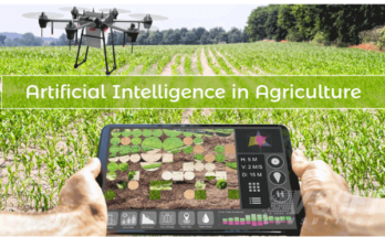 Netherlands AI in Agriculture Market | Latest Research Reveals Key Trends for Business Growth