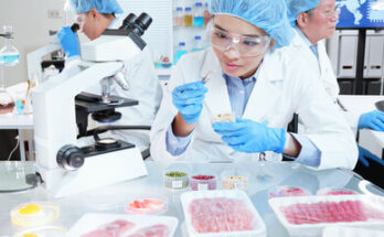 Packaged Food Shelf Life Testing Market Report