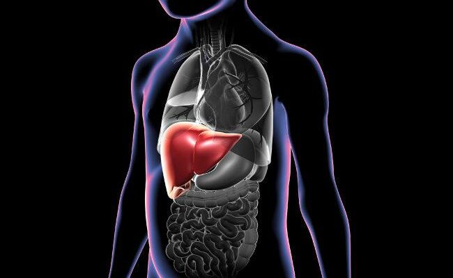 Progressive Familial Intrahepatic Cholestasis Type 2 Treatment Market