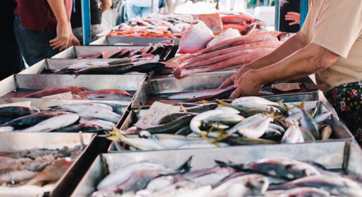 Saudi Arabia Aquaculture Market : Analysis of Industry Size, Share, and Competition