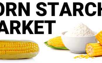 Saudi Arabia Corn starch Market : Predicted Rapid Growth with Trends, Competition, and Opportunity Analysis