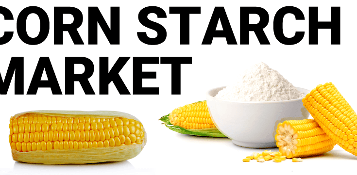 Saudi Arabia Corn starch Market : Predicted Rapid Growth with Trends, Competition, and Opportunity Analysis