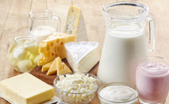 Spicy Dairy Products Market