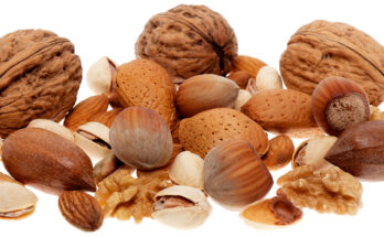 Global Tree Nuts Market