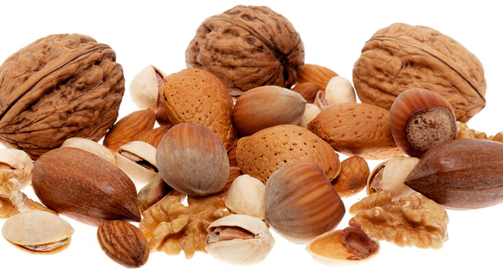 Global Tree Nuts Market