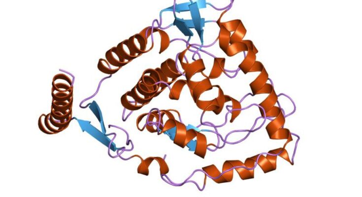 Tyrosine Hydroxylase Antibody Market