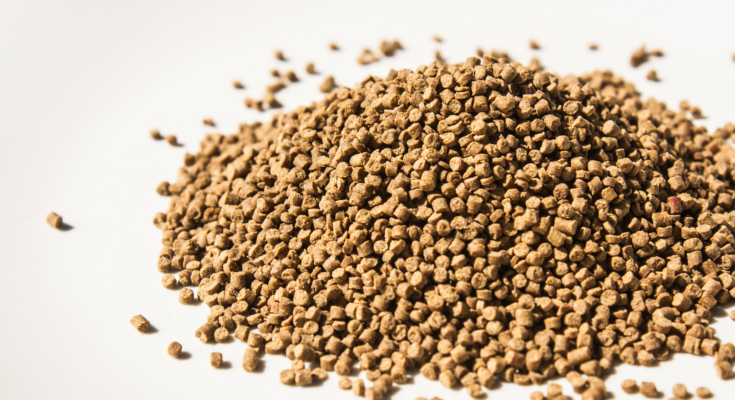 United States Aquafeed Market : Opportunities, Size and Growth Projections in Upcoming Years