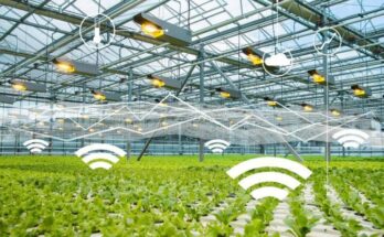 United States Smart Greenhouse Market Forecast 2017-2027: Trends and Competition | TechSci Research