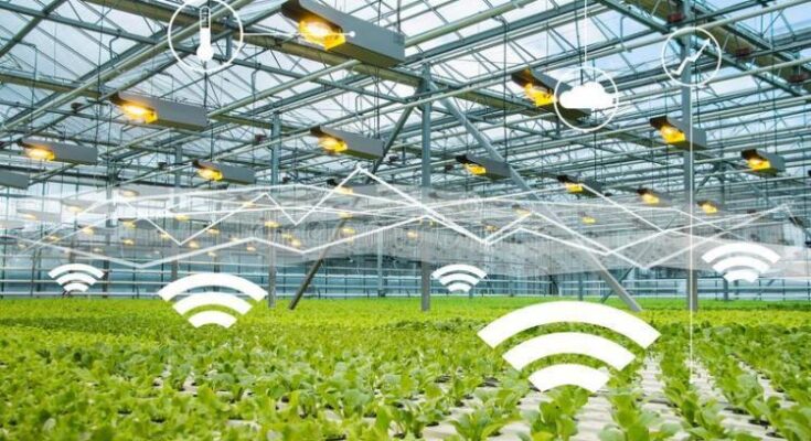 United States Smart Greenhouse Market Forecast 2017-2027: Trends and Competition | TechSci Research