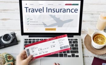 United States Travel Insurance Market