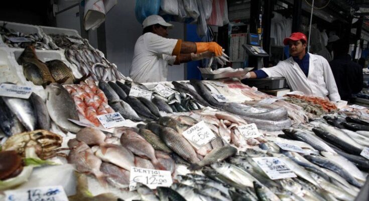 Vietnam Aquaculture Market : A Study of the Industry's Current Status, Market Analysis and Future Outlook