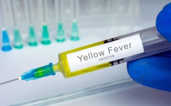 Yellow Fever Treatment Market