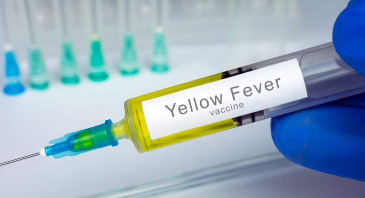 Yellow Fever Treatment Market