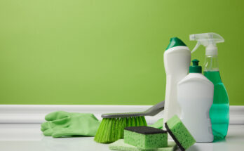 Global Eco Friendly Cleaner Market