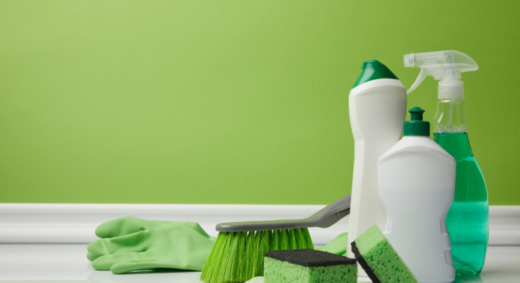 Global Eco Friendly Cleaner Market