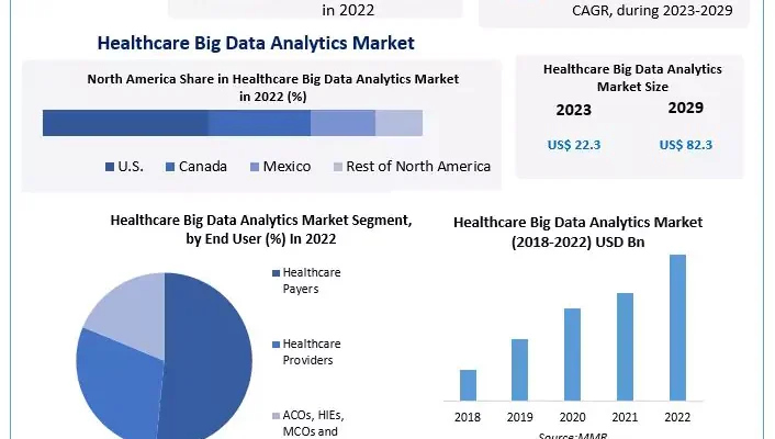 Healthcare Big Data Analytics Market