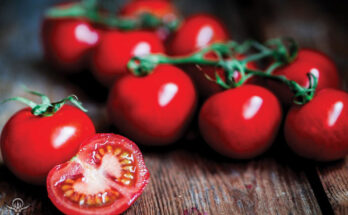 Global Lycopene Marke