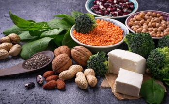 Global Protein Ingredients Market