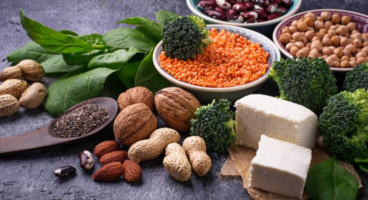 Global Protein Ingredients Market