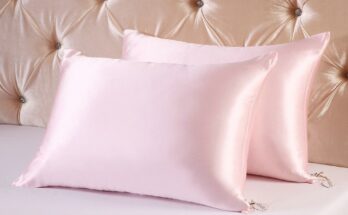 Global Silk Pillow Market