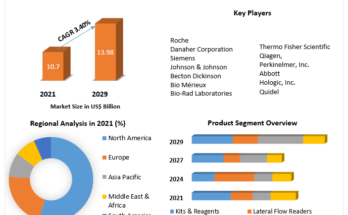 Lateral Flow Assay Market