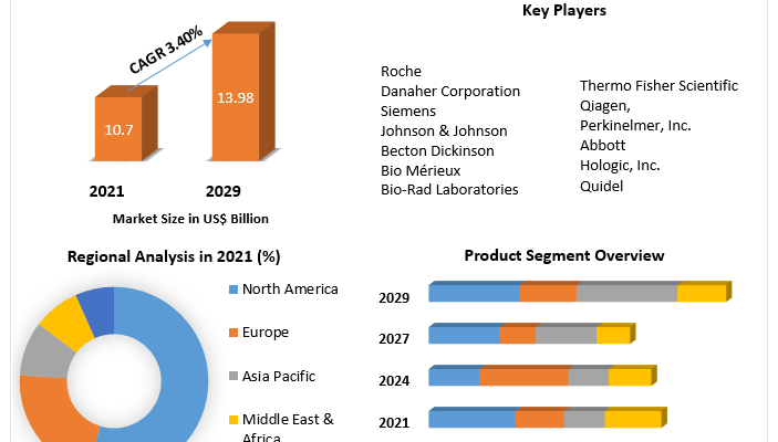 Lateral Flow Assay Market