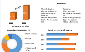 Antibiotics Market