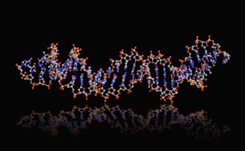 Global Aptamers Market Outlook Through 2023-2032