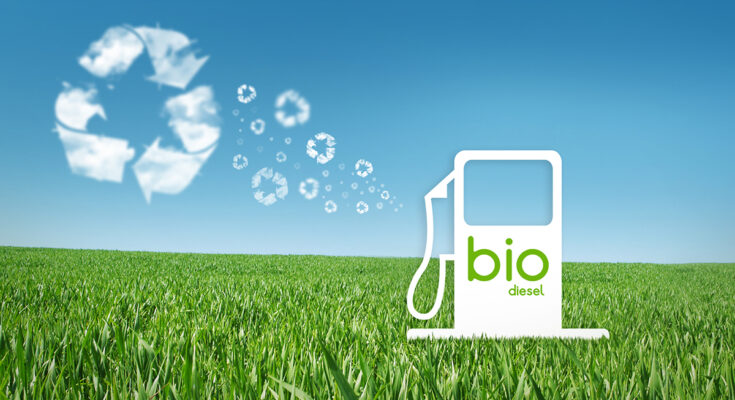 Biodiesel Market - Overview, Industry Growth, Size & Forecast