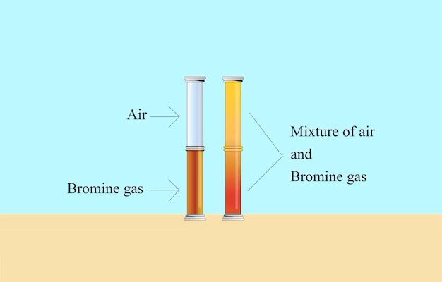 Bromine Derivatives Market Forecast