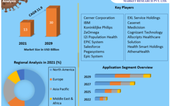 Care Management Solutions Market