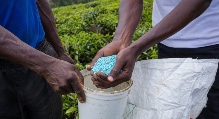 Compound Fertilizer Market