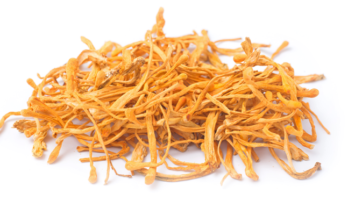 Cordyceps Sinensis and Militaris Extract Market