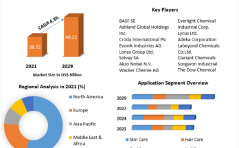 Cosmetic Ingredients Market