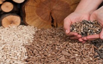 Global Biomass Briquettes Market