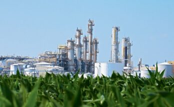 Global Biorefinery Market