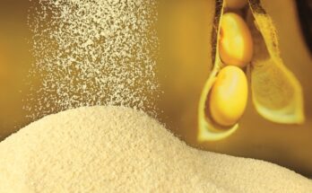 Global De-oiled Lecithin Market