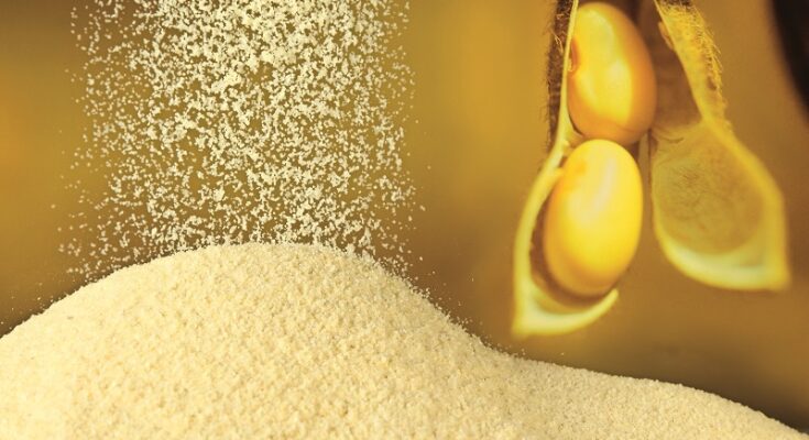 Global De-oiled Lecithin Market