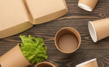 Global Foodservice Packaging Market - Overview, Industry Growth, Size & Forecast