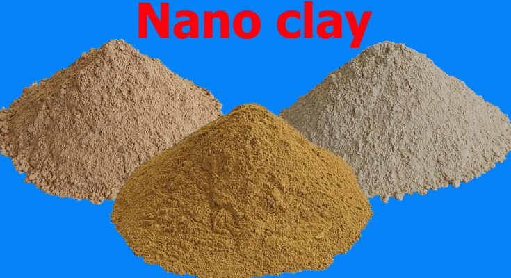 Global Nano Clay Market 2028 – Forecast & Projected Growth